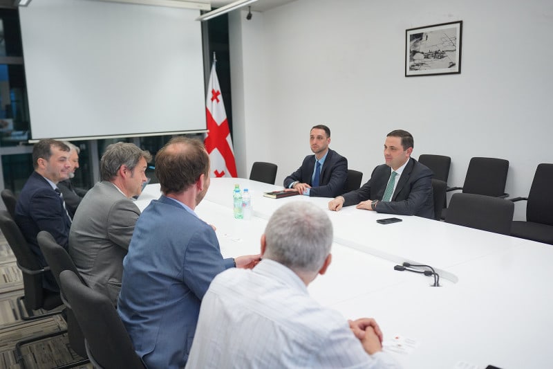 Romeo Mikautadze discussed the introduction of digital management at Enguri HPP with representatives of the Austrian company Verbund